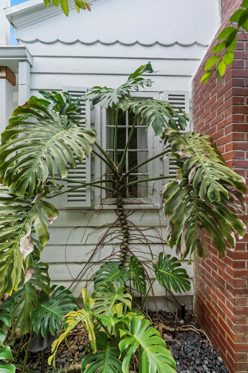 228 Walton Boulevard