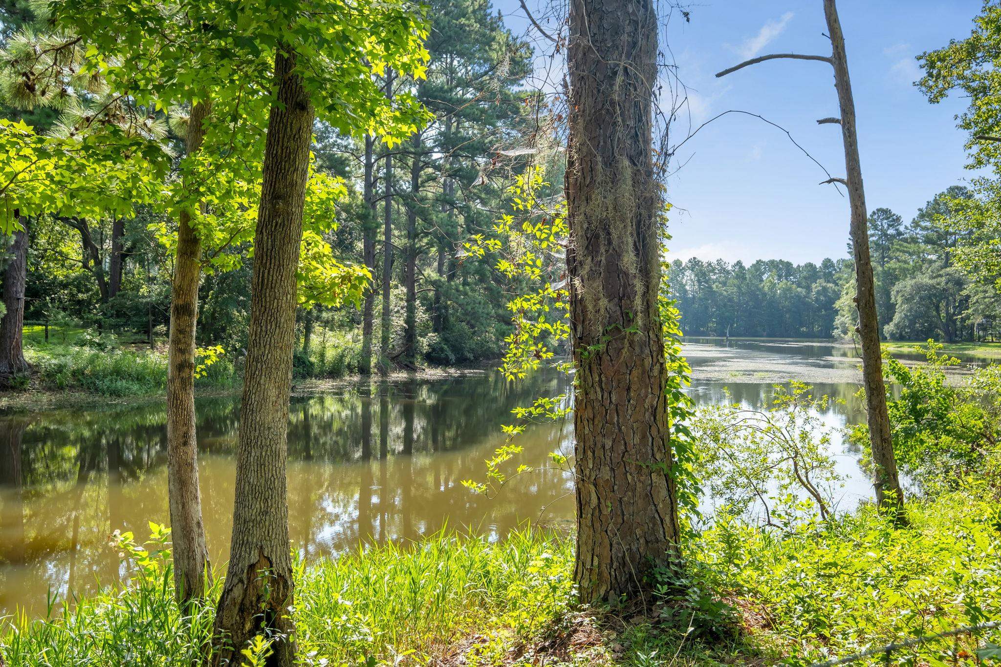 4310 Rabbit Pond Road