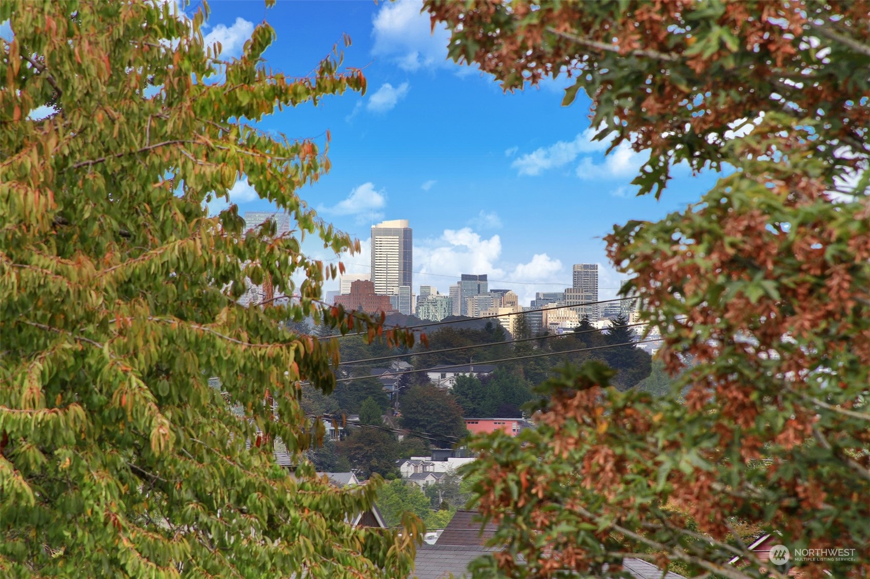 3938 C S Pearl Street