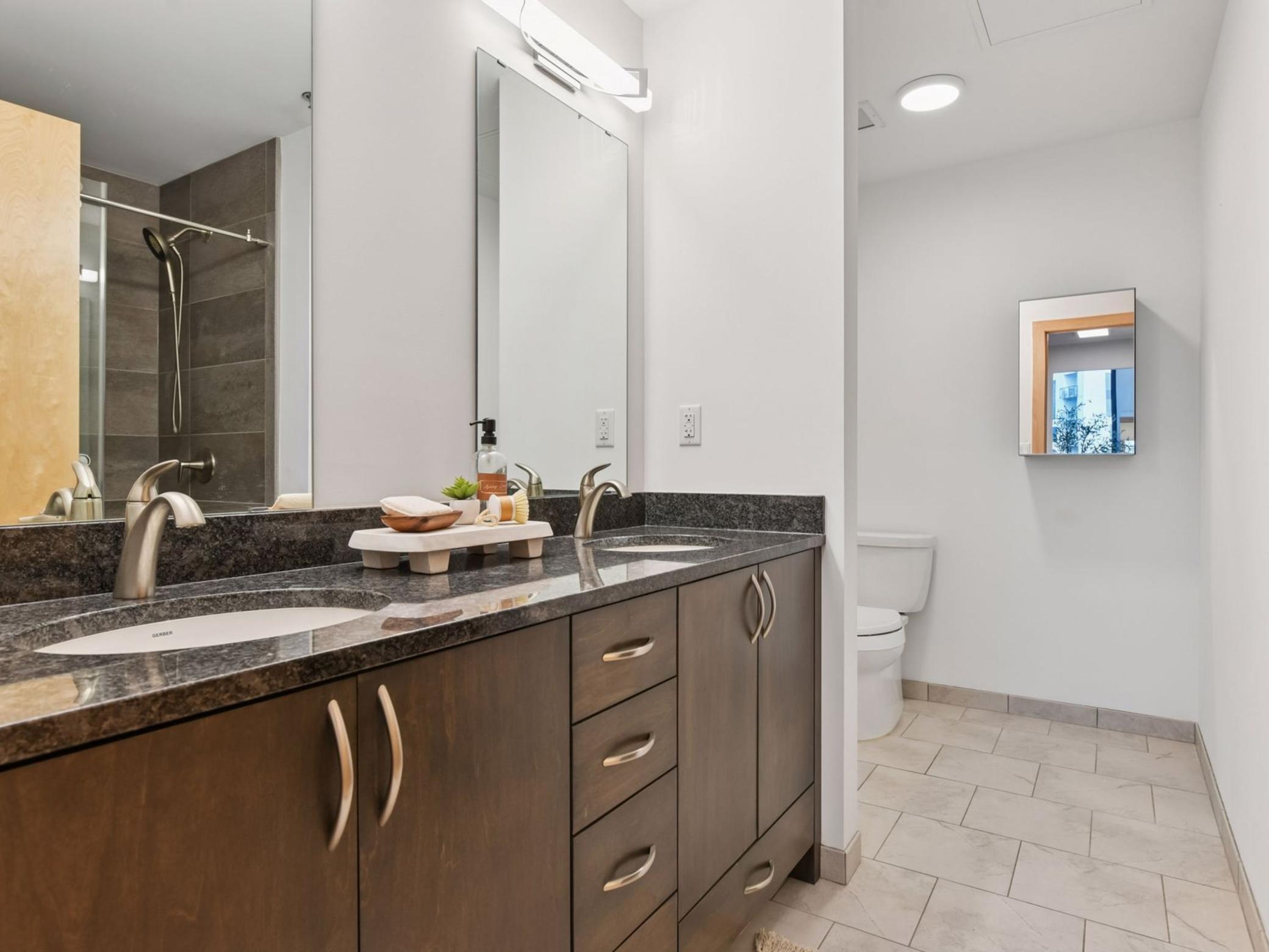 1240 S 2nd Street Unit: 704