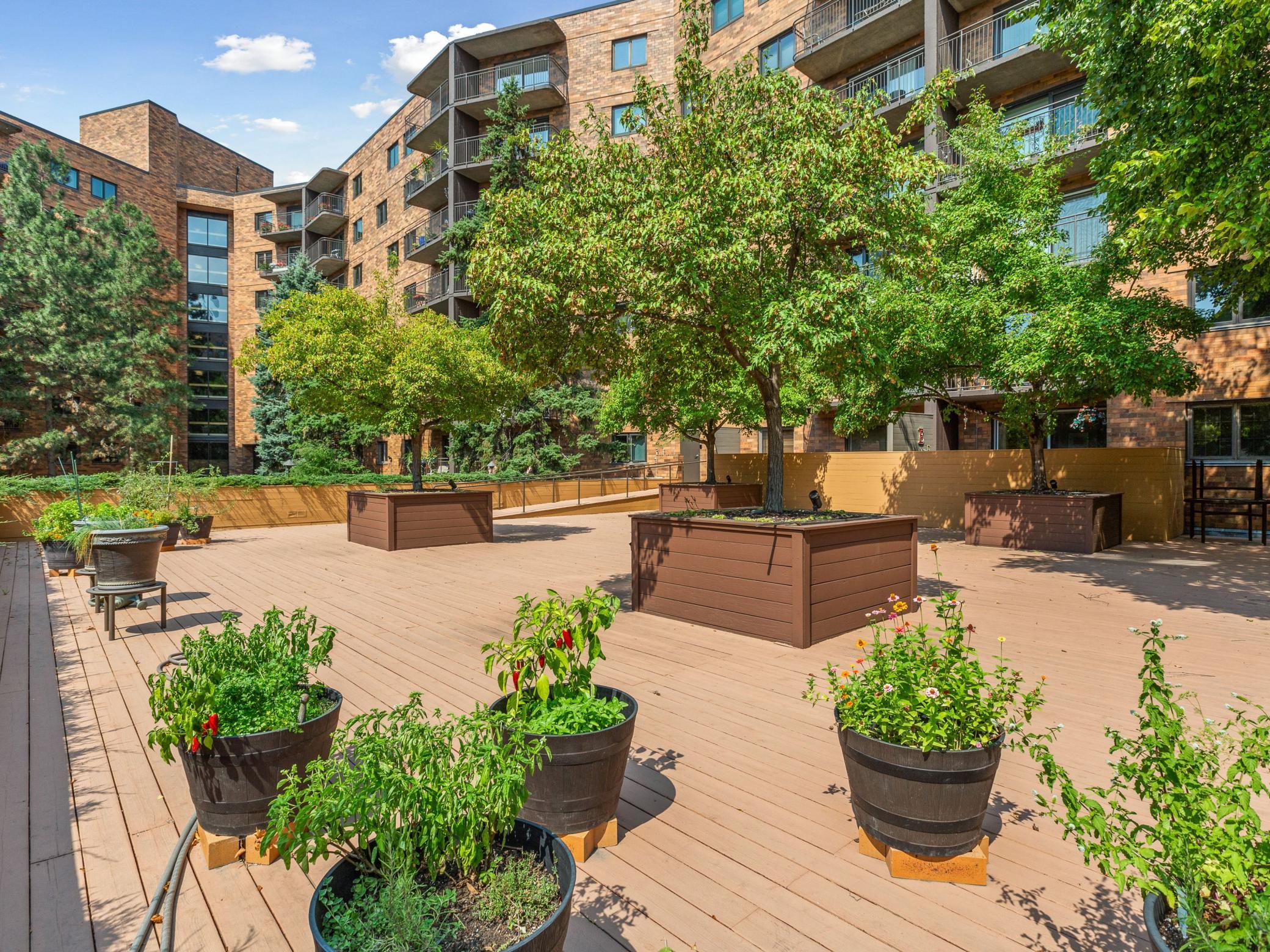 210 W Grant Street Unit: 107