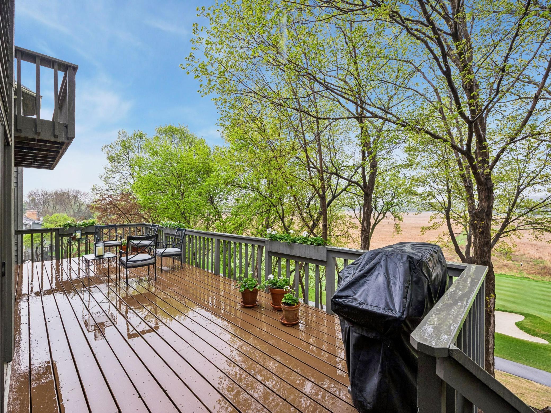 11202 Mount Curve Road
