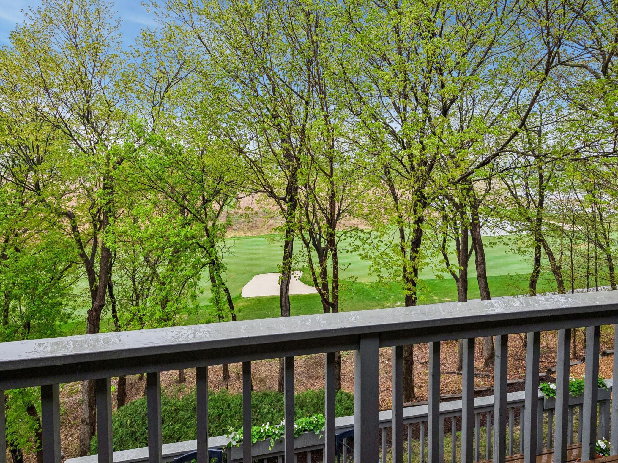 11202 Mount Curve Road