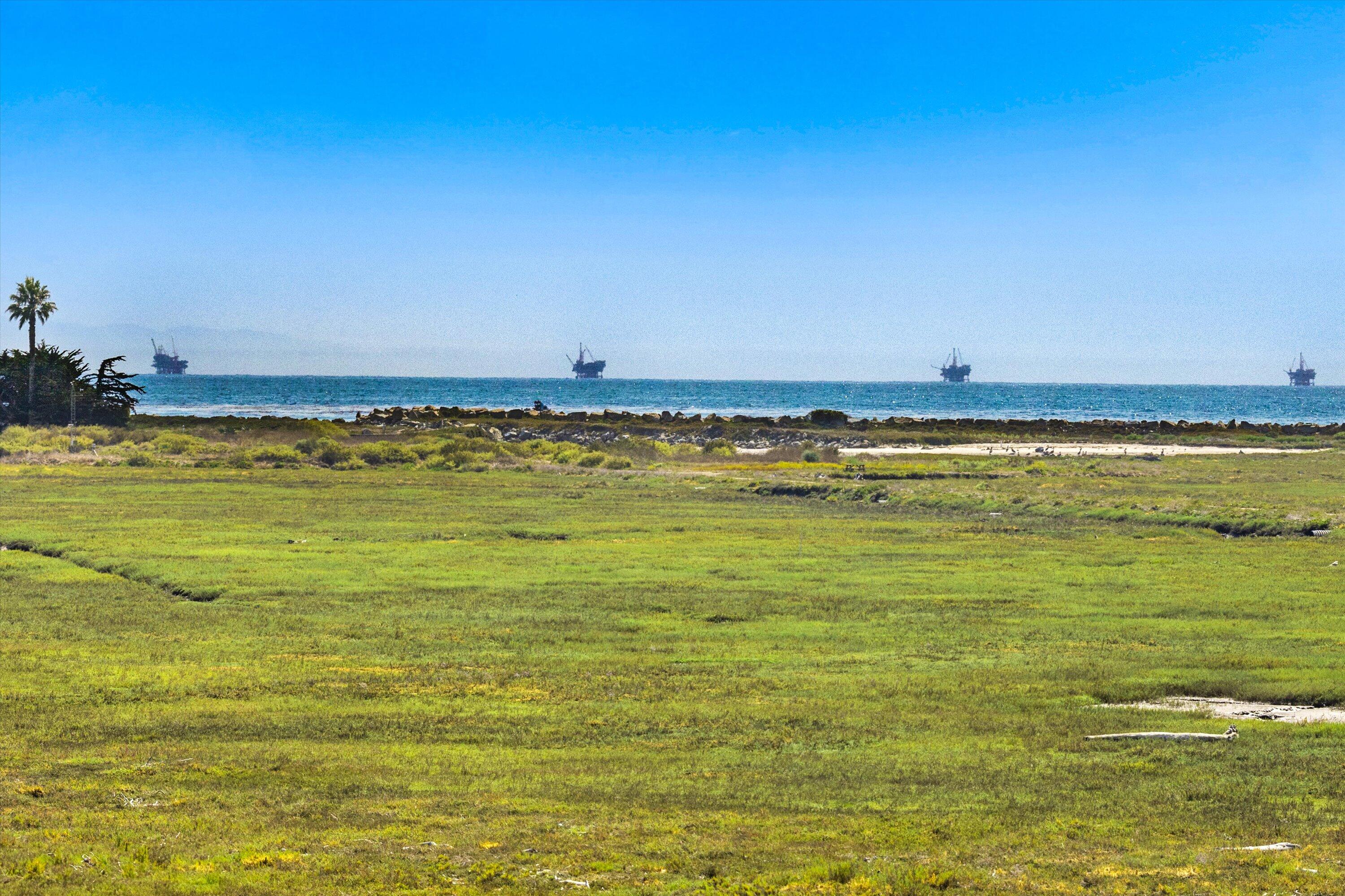 4297 Carpinteria Avenue Unit: 8