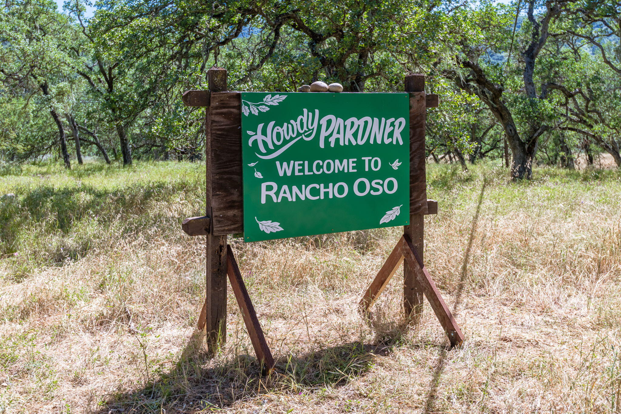 3750 Paradise Road 96