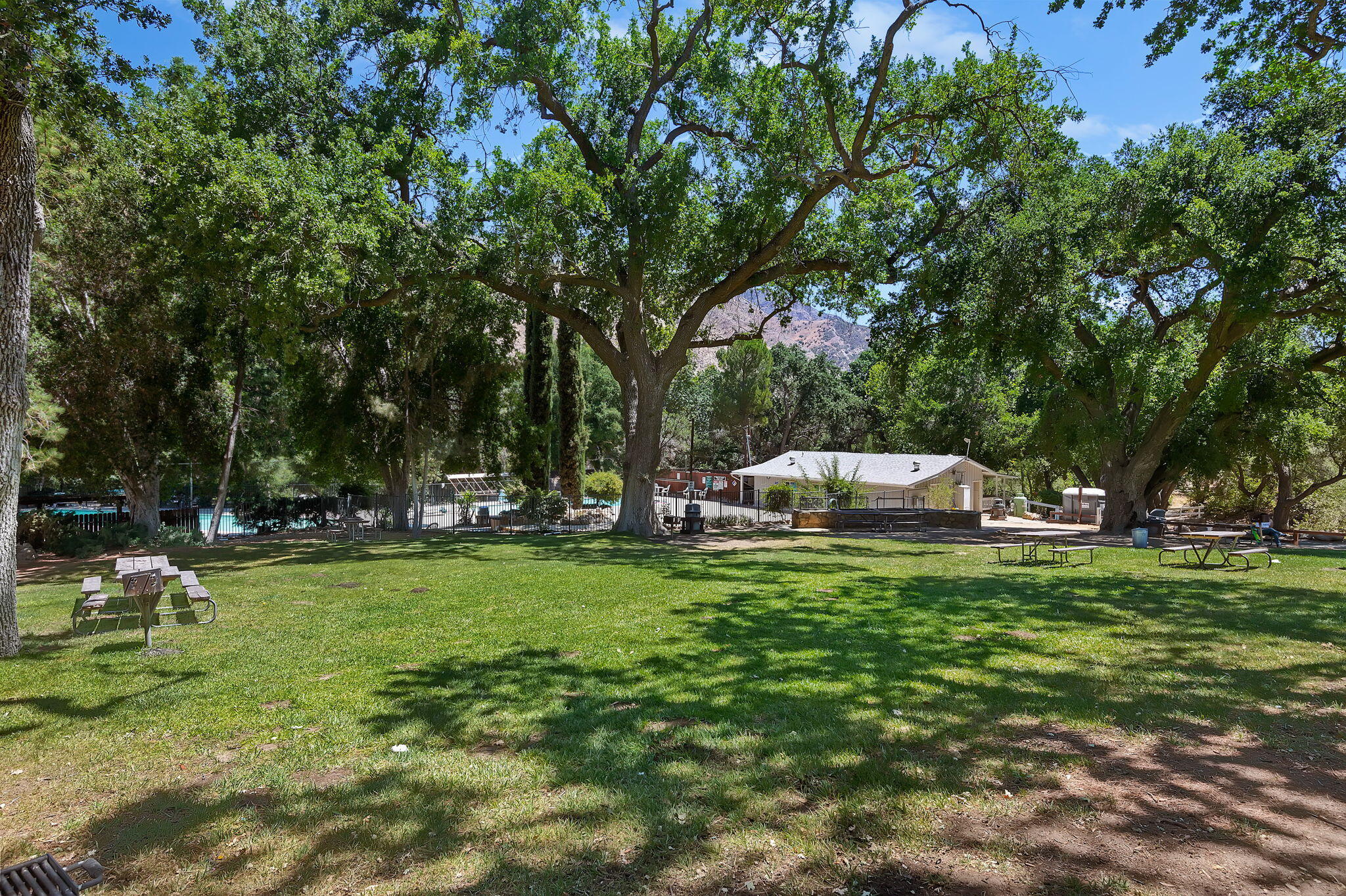 3750 Paradise Road 96