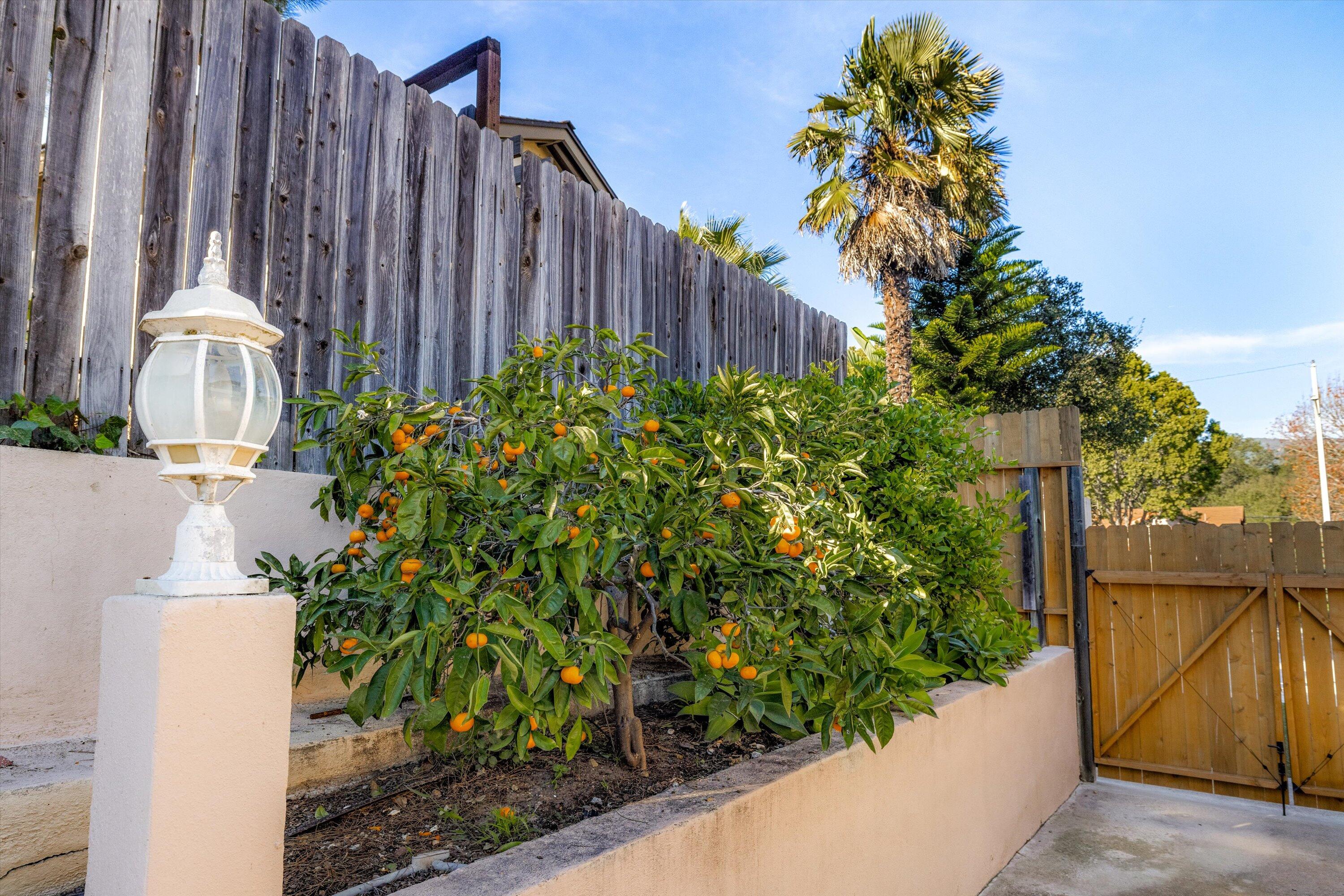 7039 Del Norte Drive