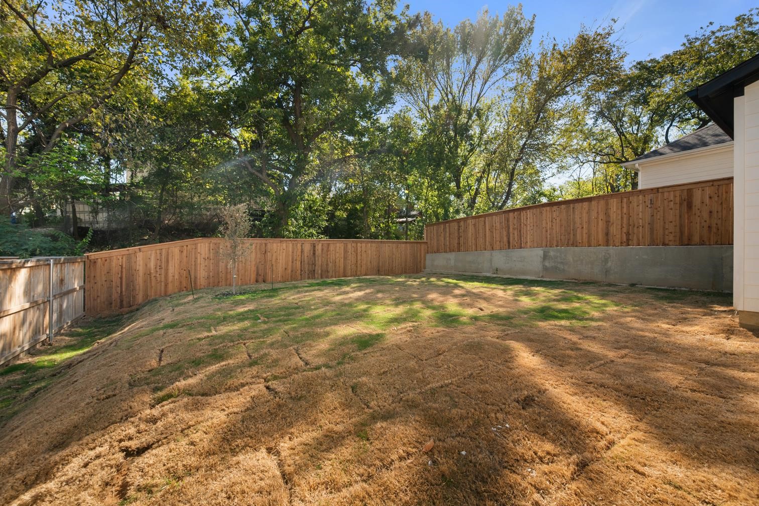1506 Doyle
