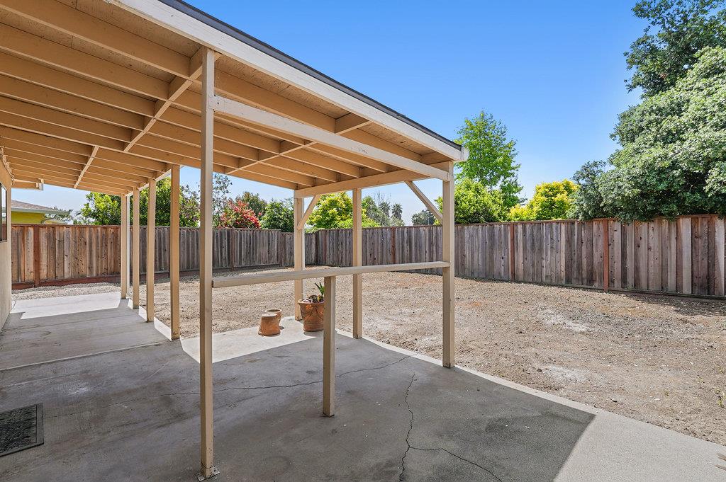9 Carita CT