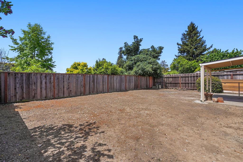 9 Carita CT