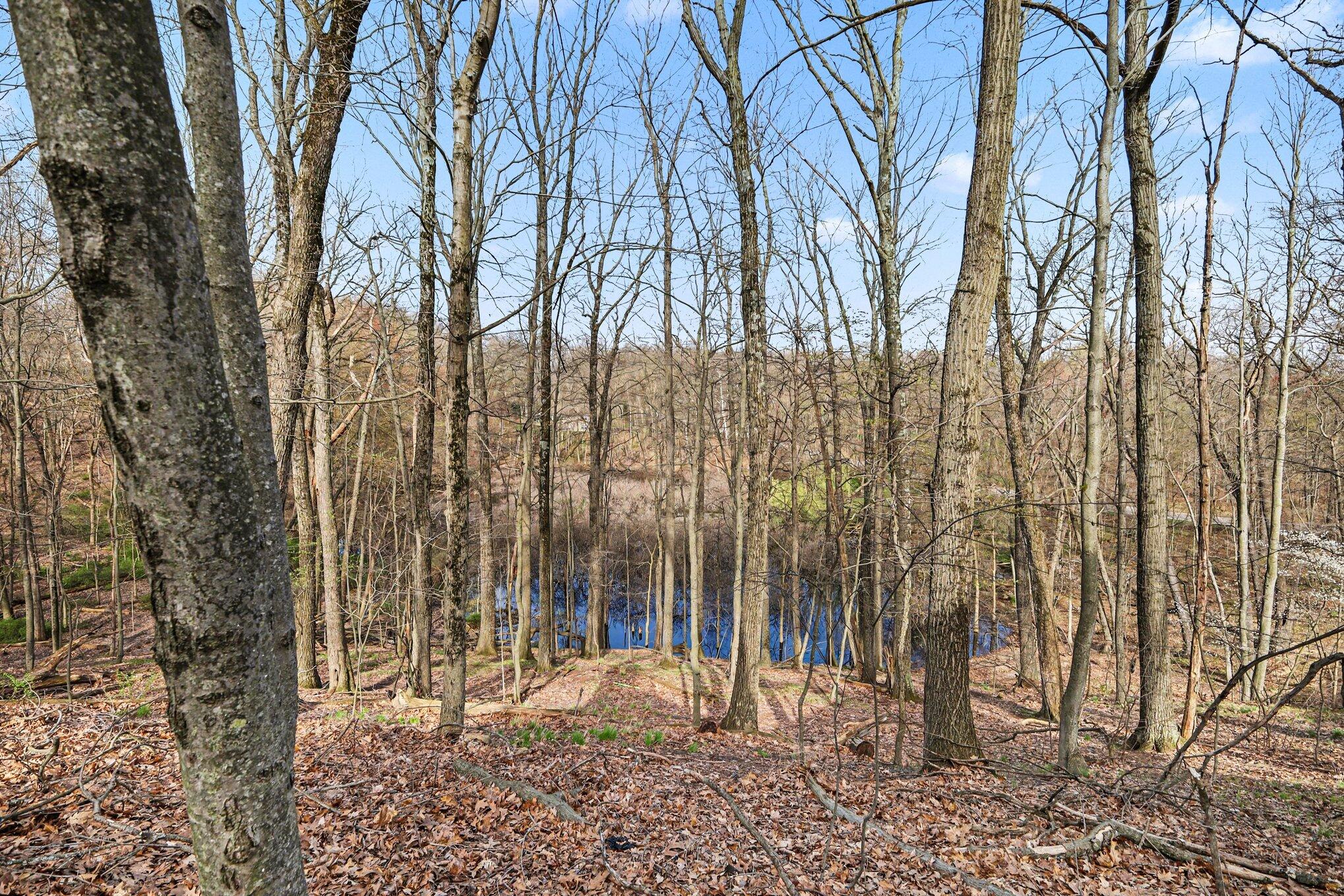 1233 Ballybunion Court SE