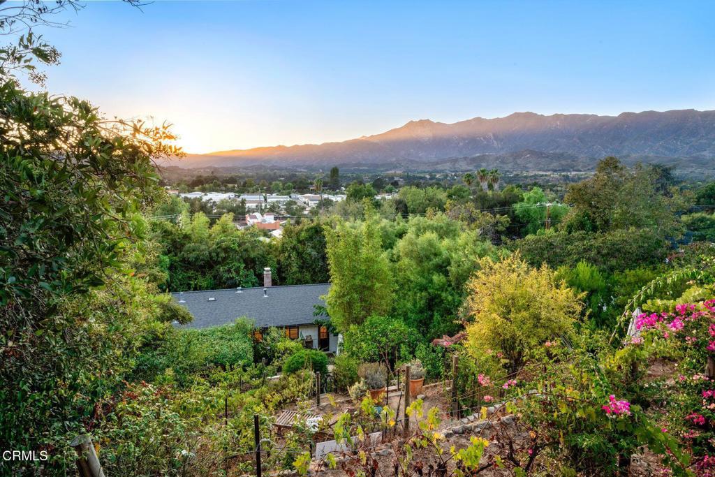 1708 Orchard Drive