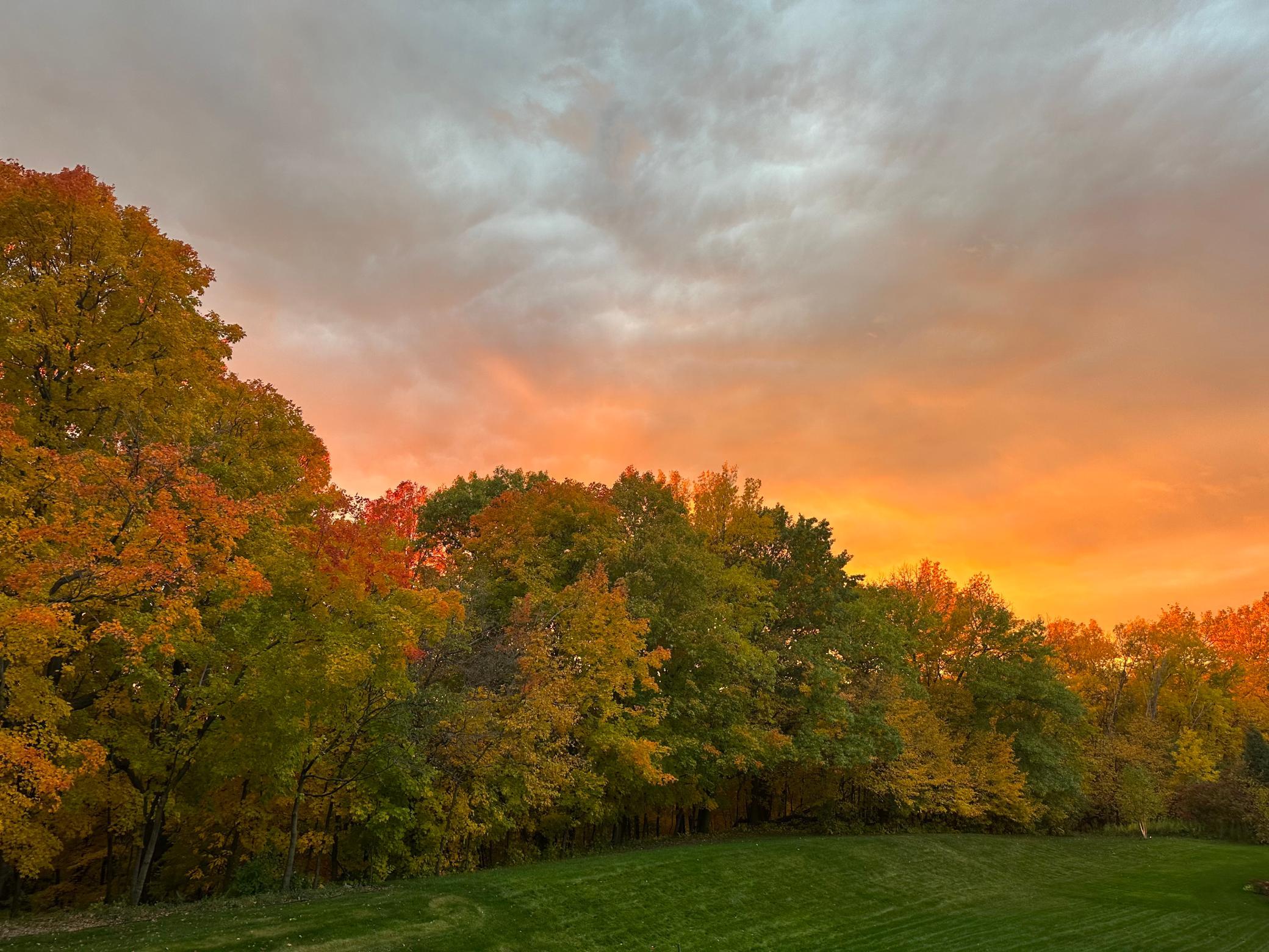 10112 Trails End Road