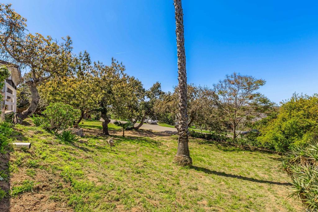 1523 Nob Hill Drive