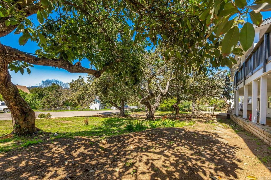 1523 Nob Hill Drive