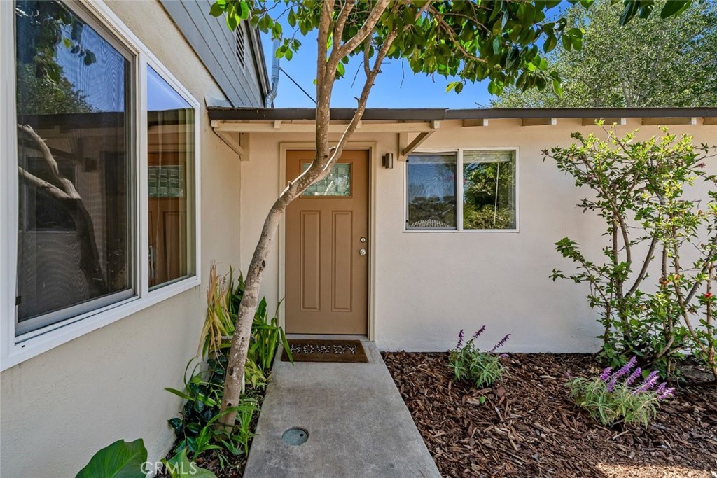 123 Ramona