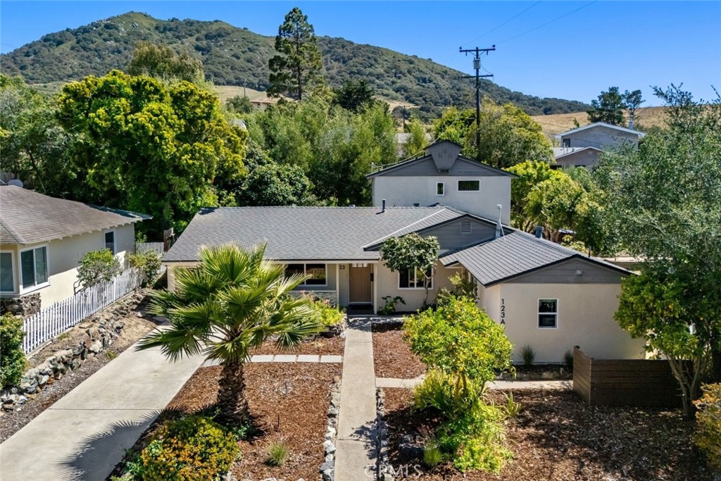 Single-story home with a palm tree in the front yard and wooded hills behind it.