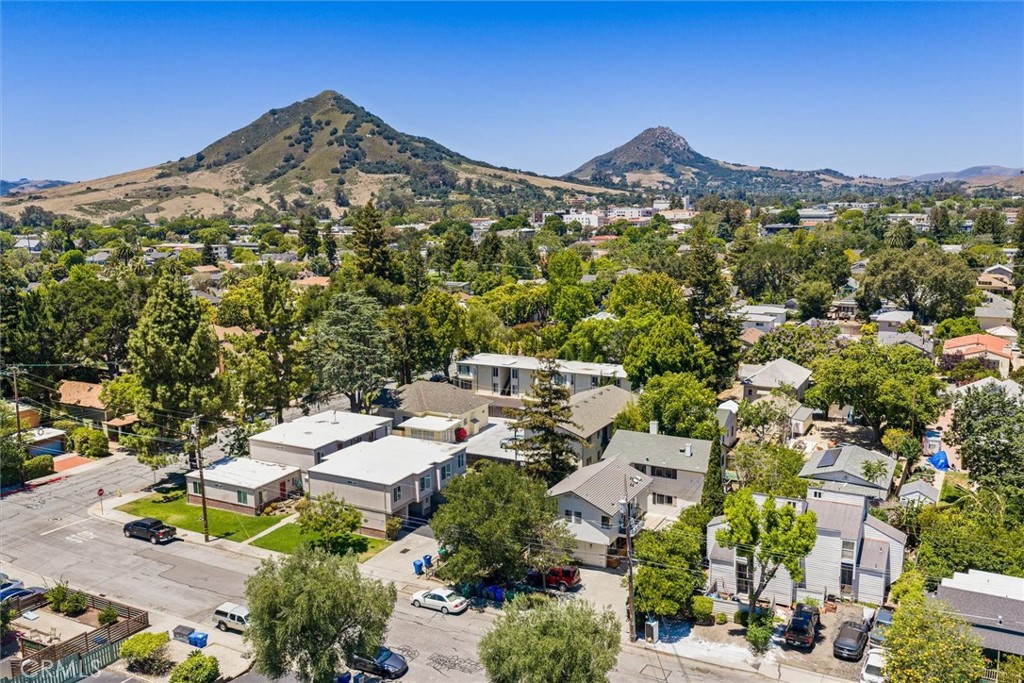 Aerial neighborhood view with tree-lined streets and two prominent hills.