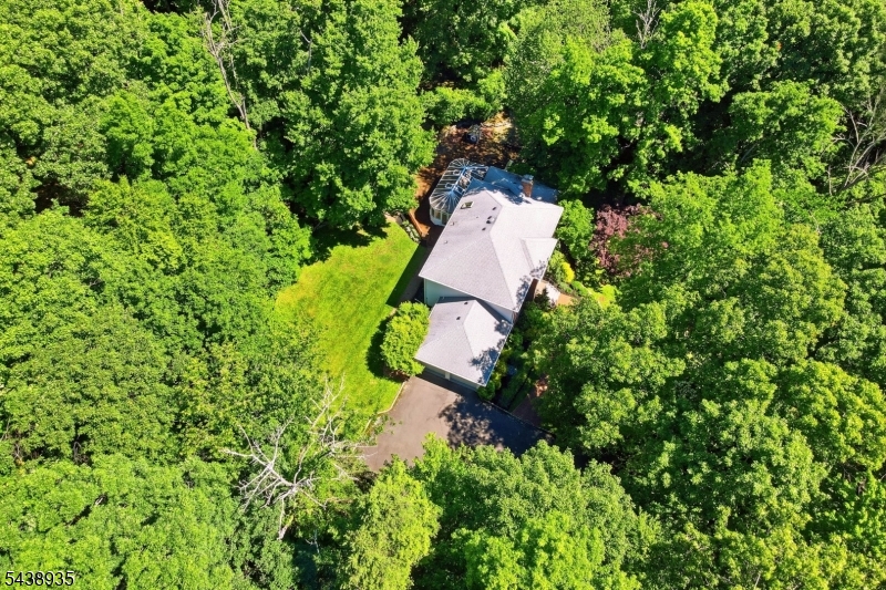 50 Ponderosa Pl