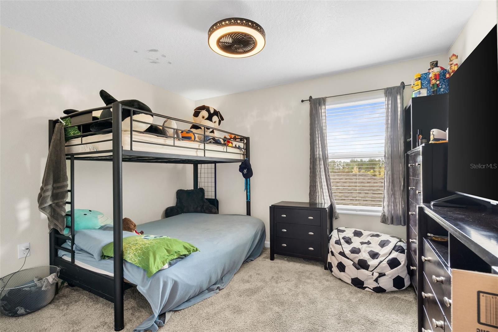 3105 AQUA VIRGO LOOP