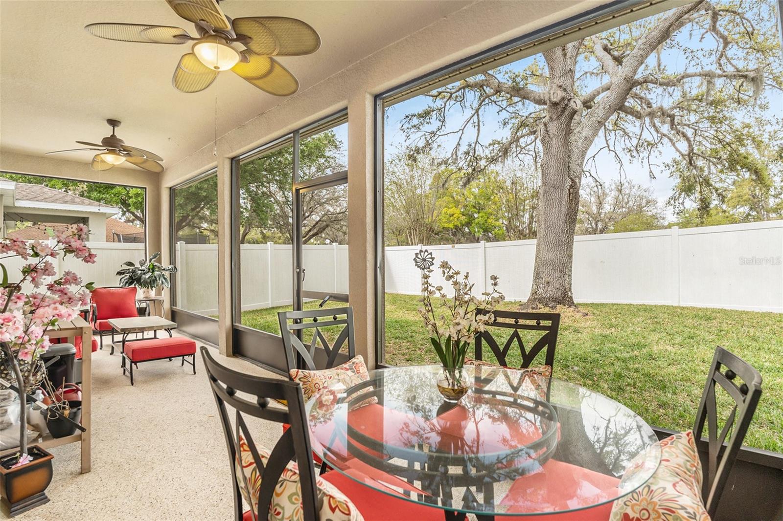 25325 WELSH POPPY WAY