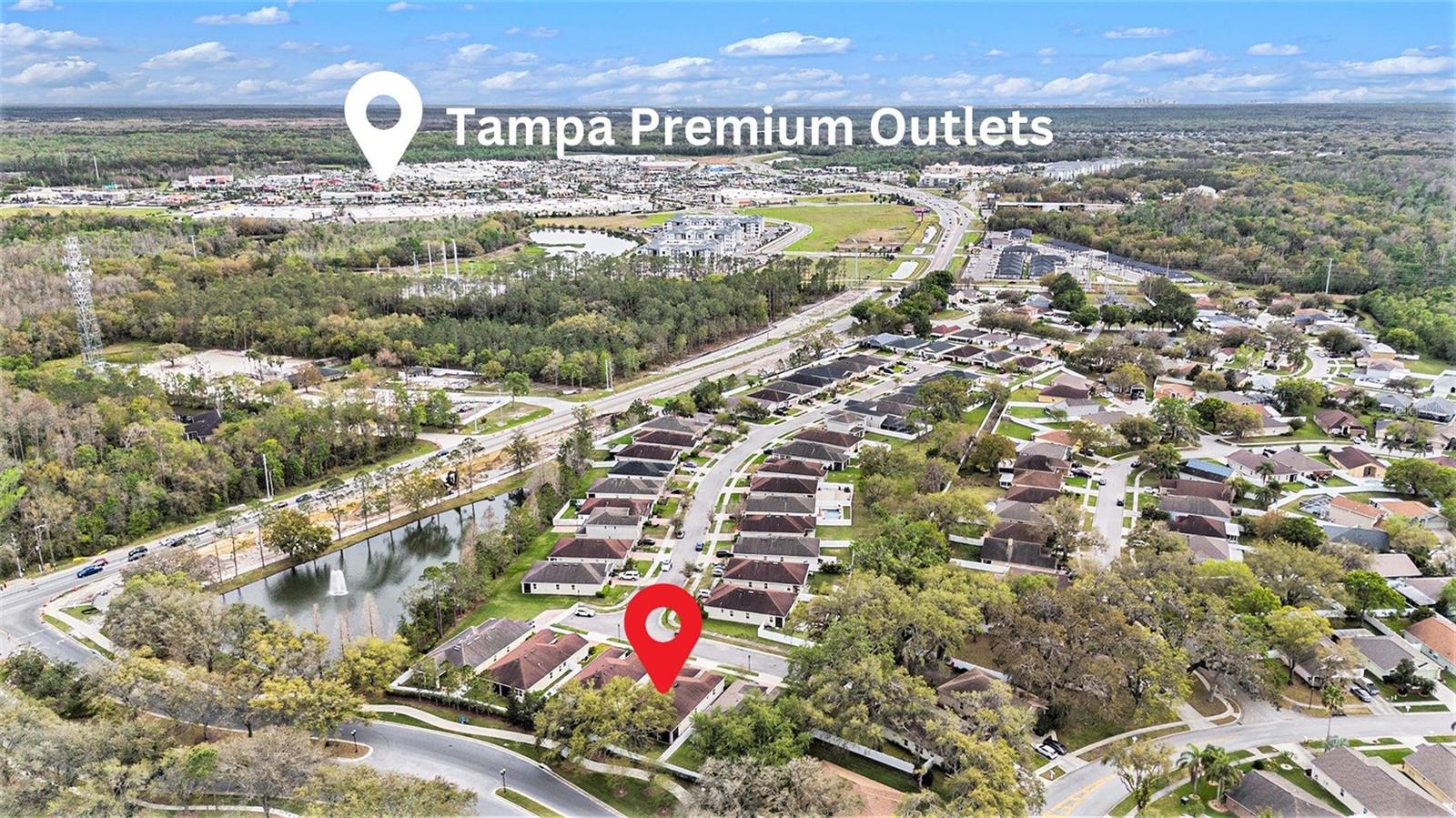 25325 WELSH POPPY WAY