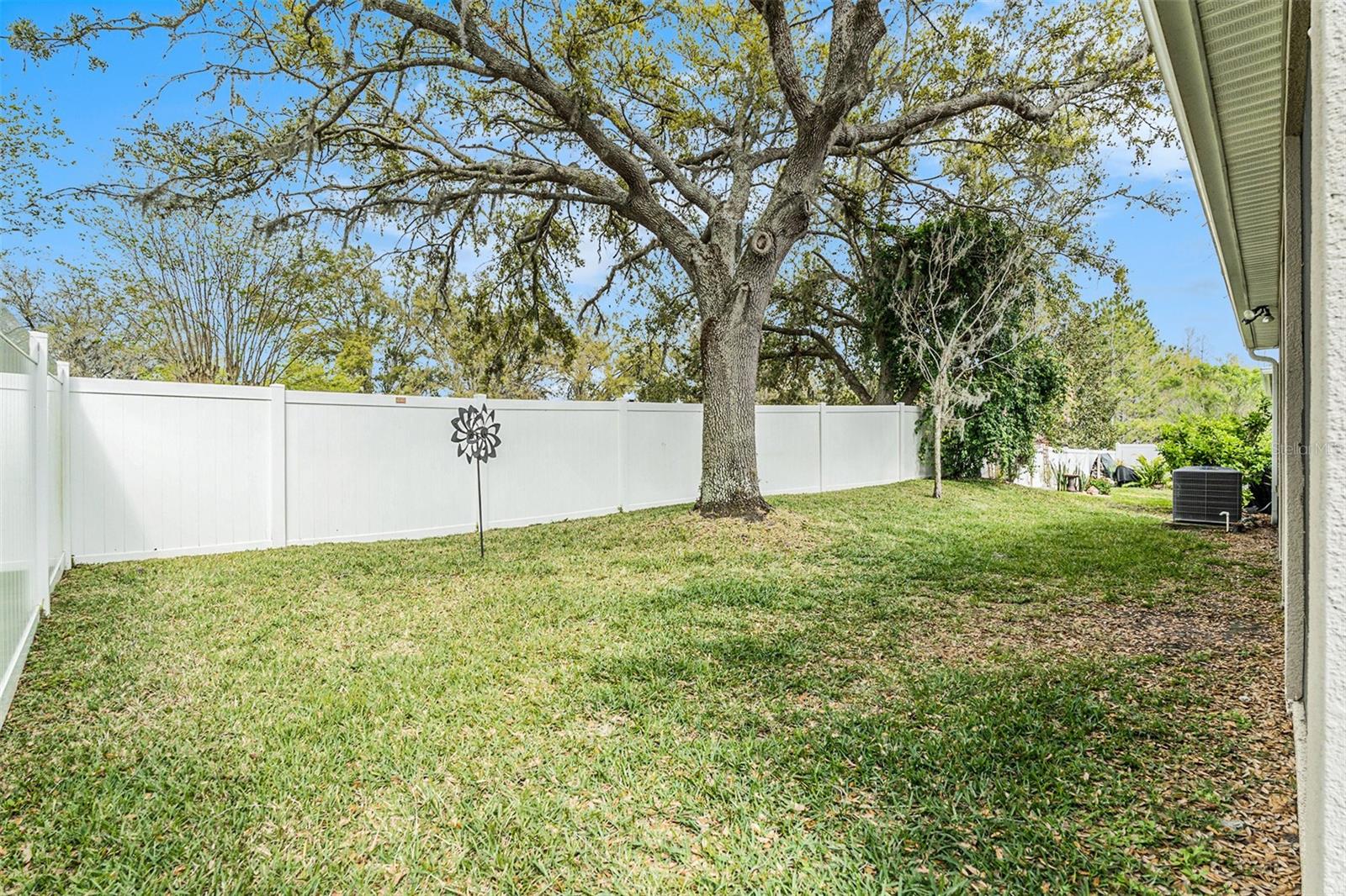 25325 WELSH POPPY WAY