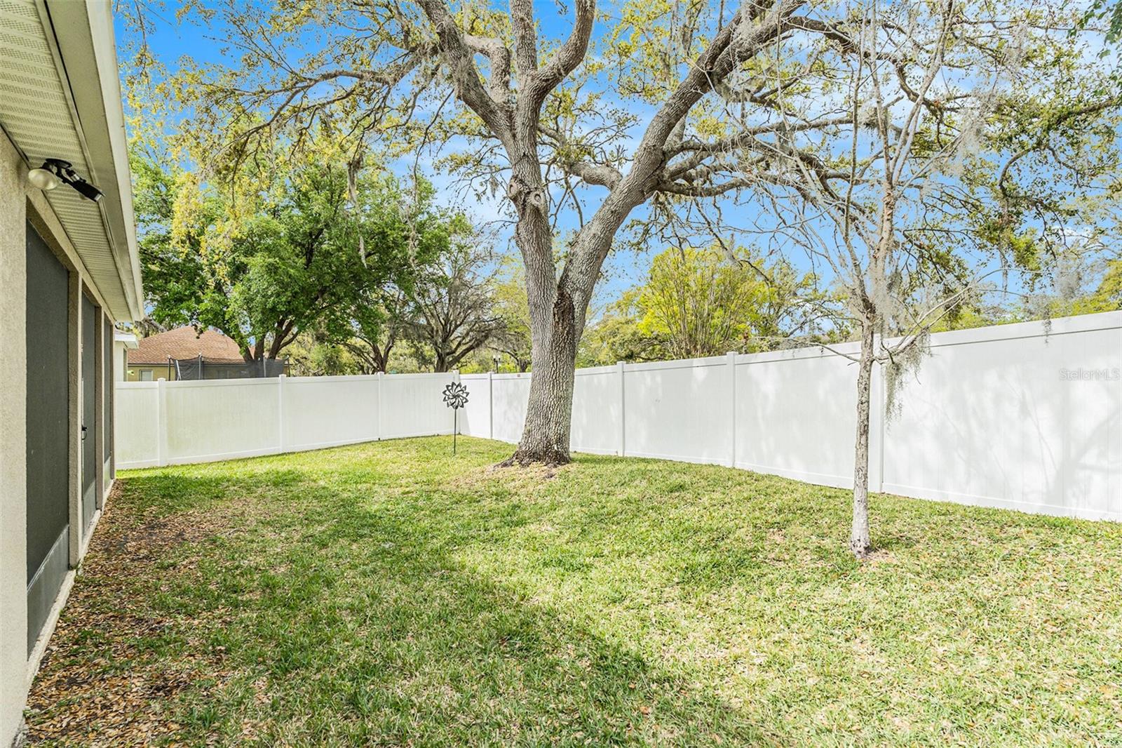 25325 WELSH POPPY WAY