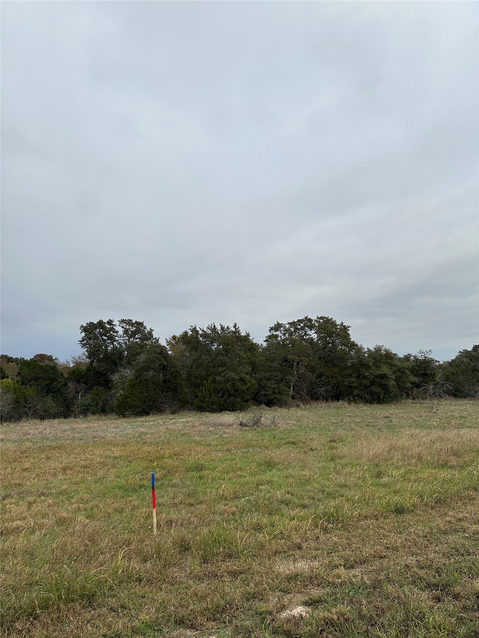 6468 Charleton Court