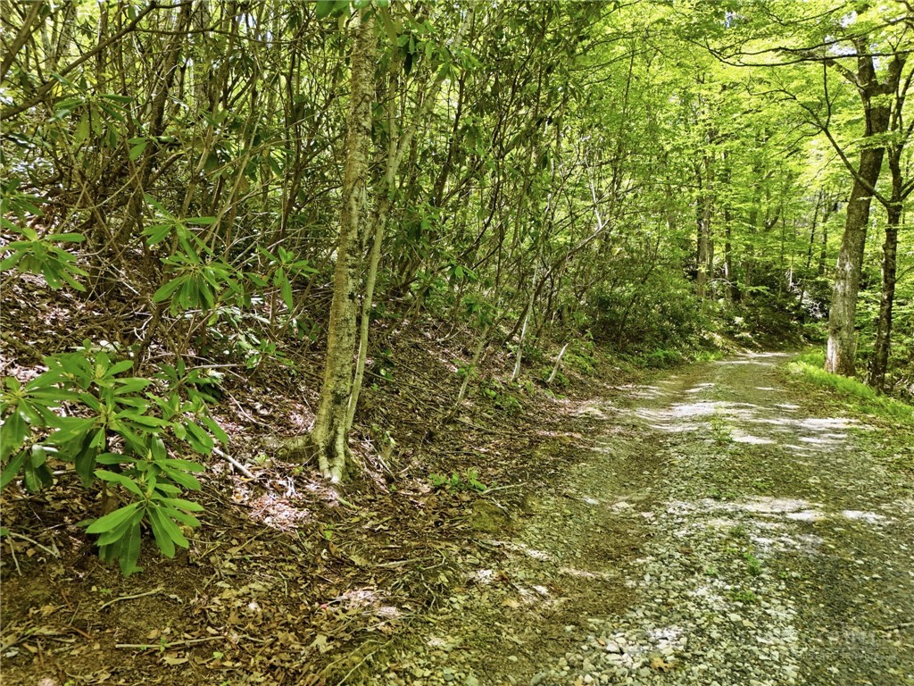 Lot #25 Snow Ridge Road