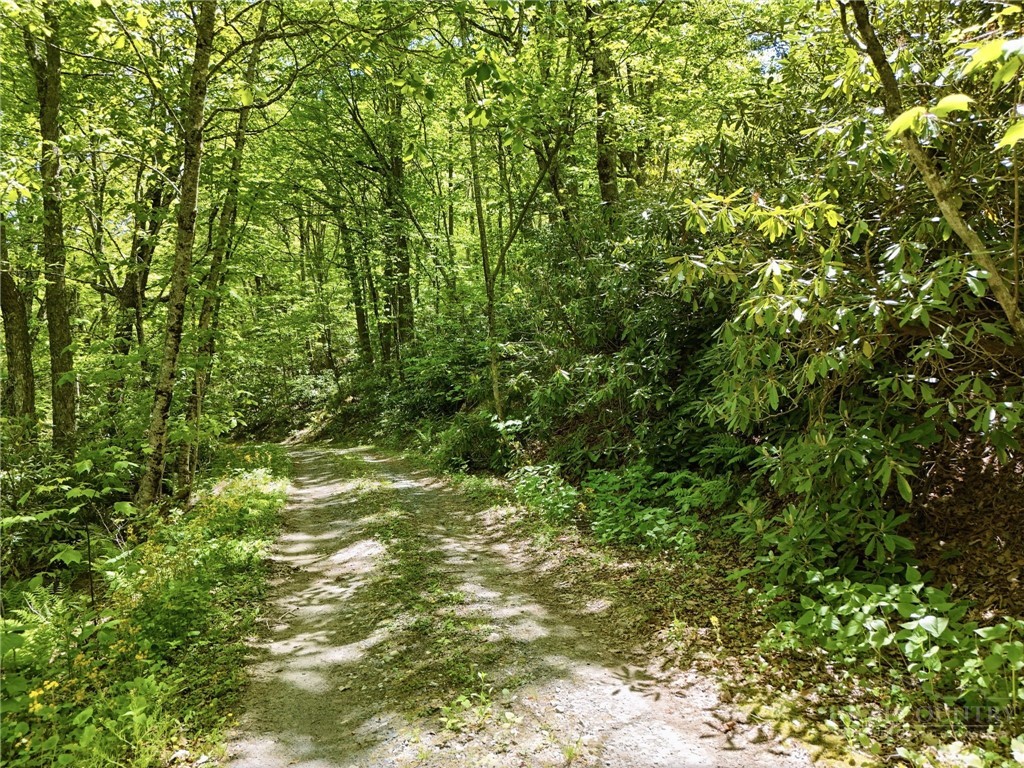 Lot #26 Snow Ridge Road
