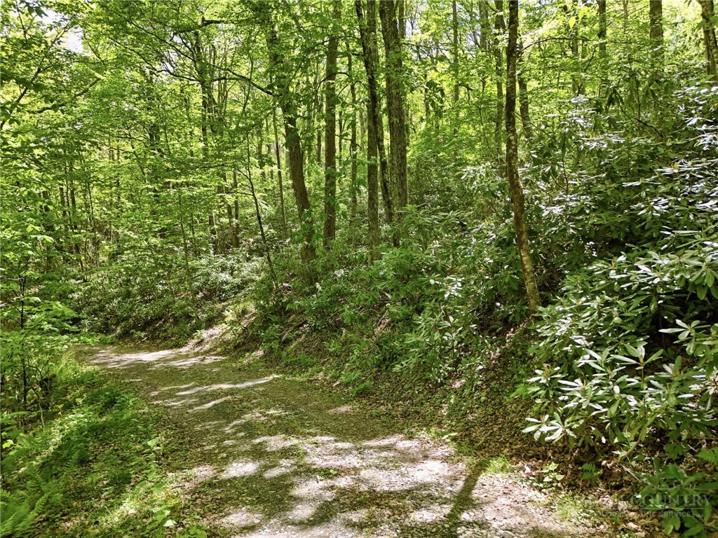 Lot #26 Snow Ridge Road