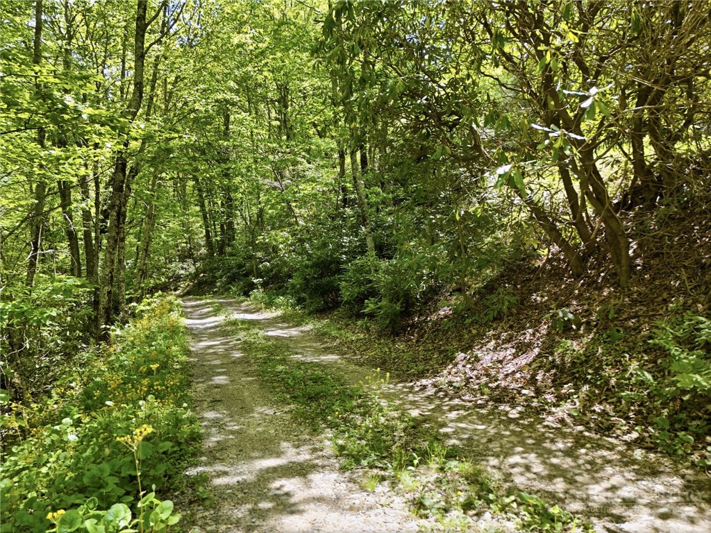Lot #28 Snow Ridge Road