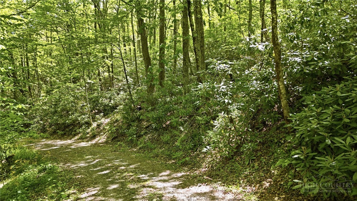 Lot #28 Snow Ridge Road