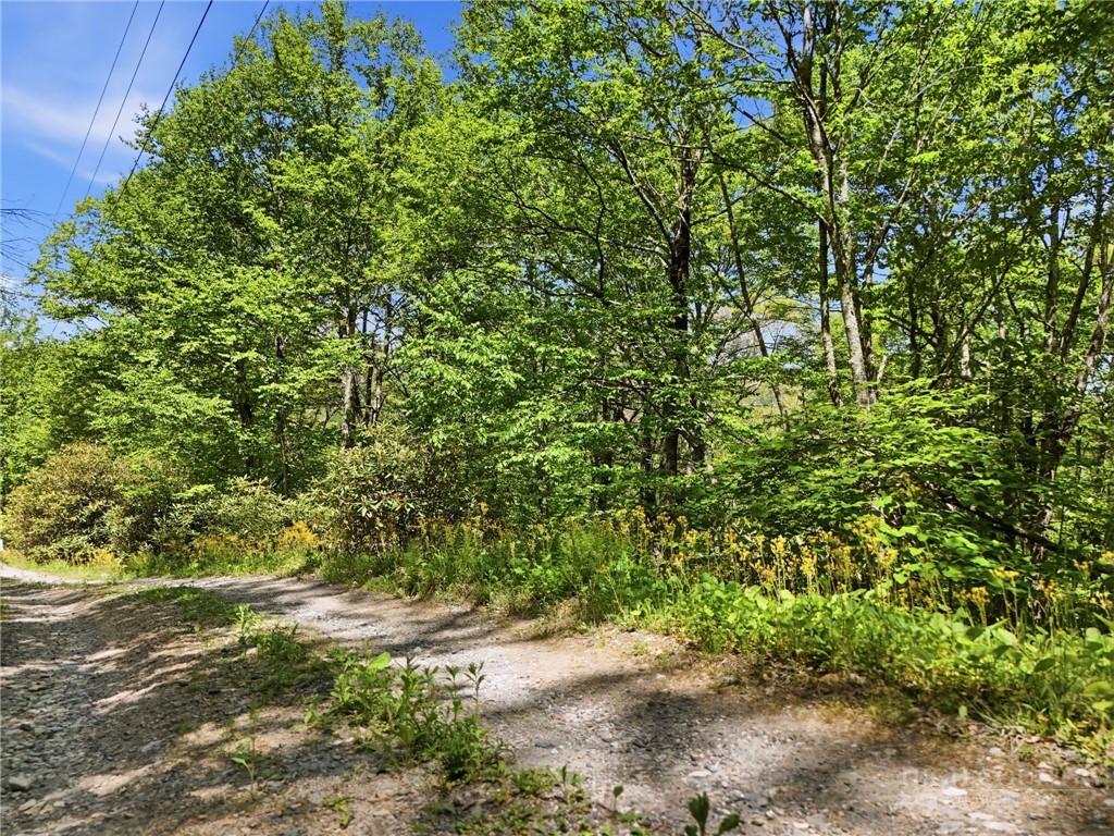 Lot#29 Snow Ridge Road