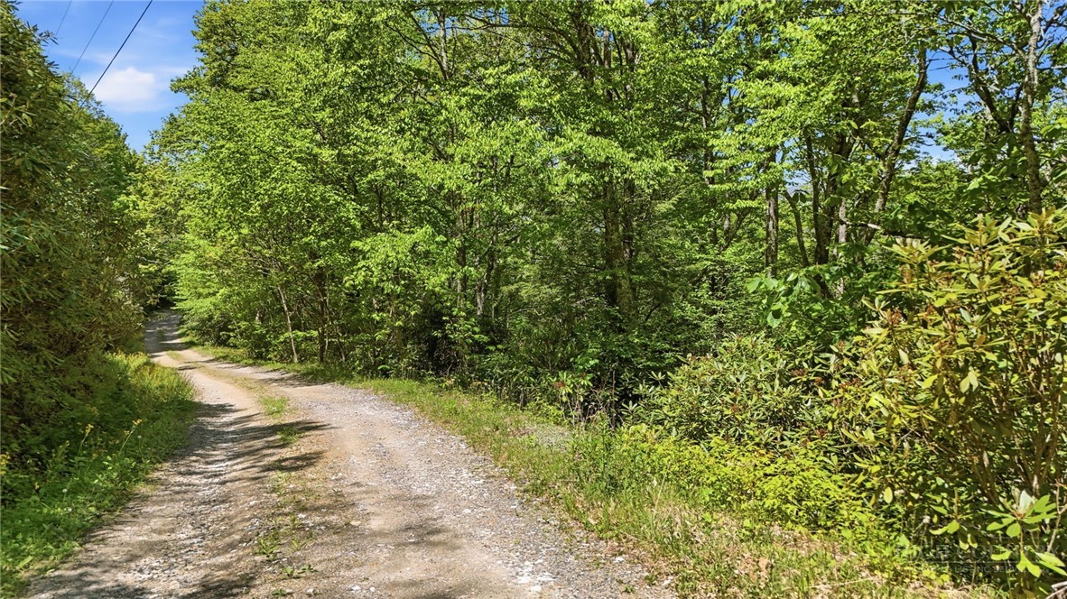 Lot#29 Snow Ridge Road