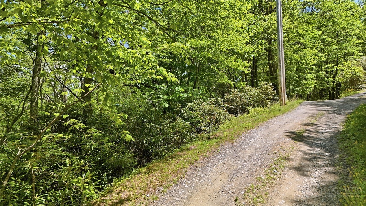 Lot#29 Snow Ridge Road