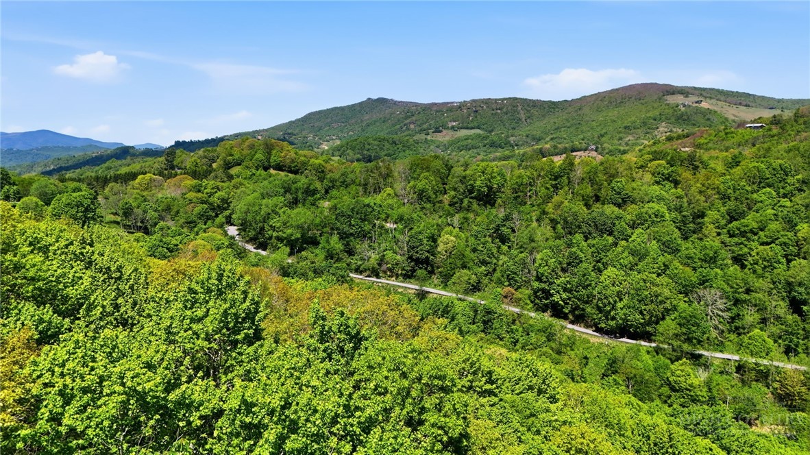 Lot#29 Snow Ridge Road