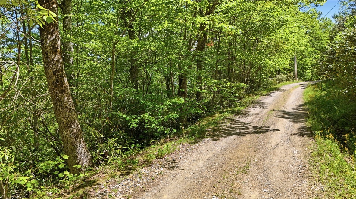Lot #30 Snow Ridge Road