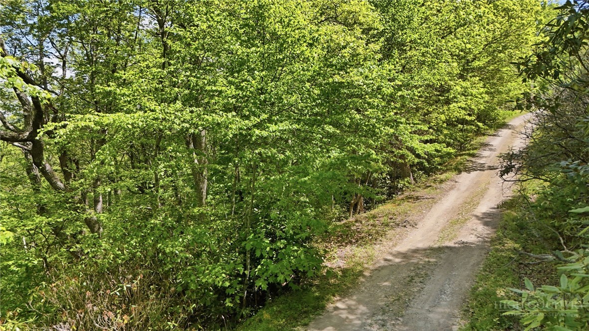 Lot #30 Snow Ridge Road
