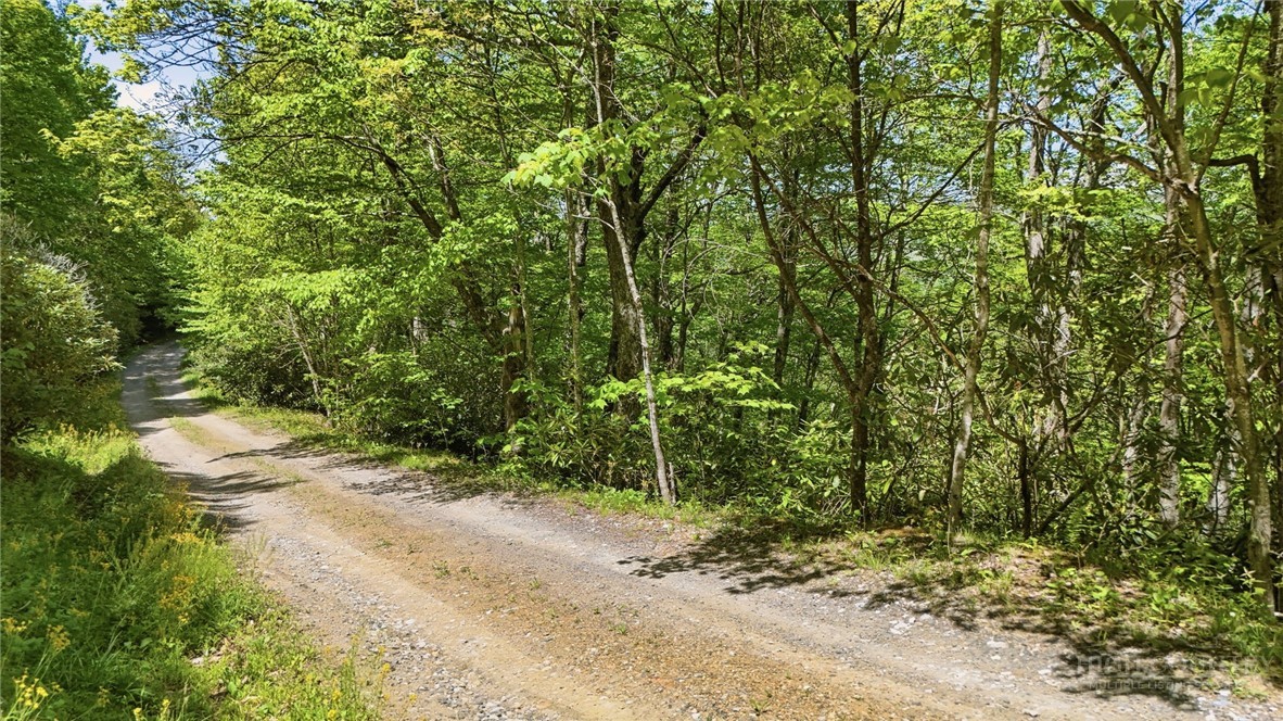 Lot #30 Snow Ridge Road