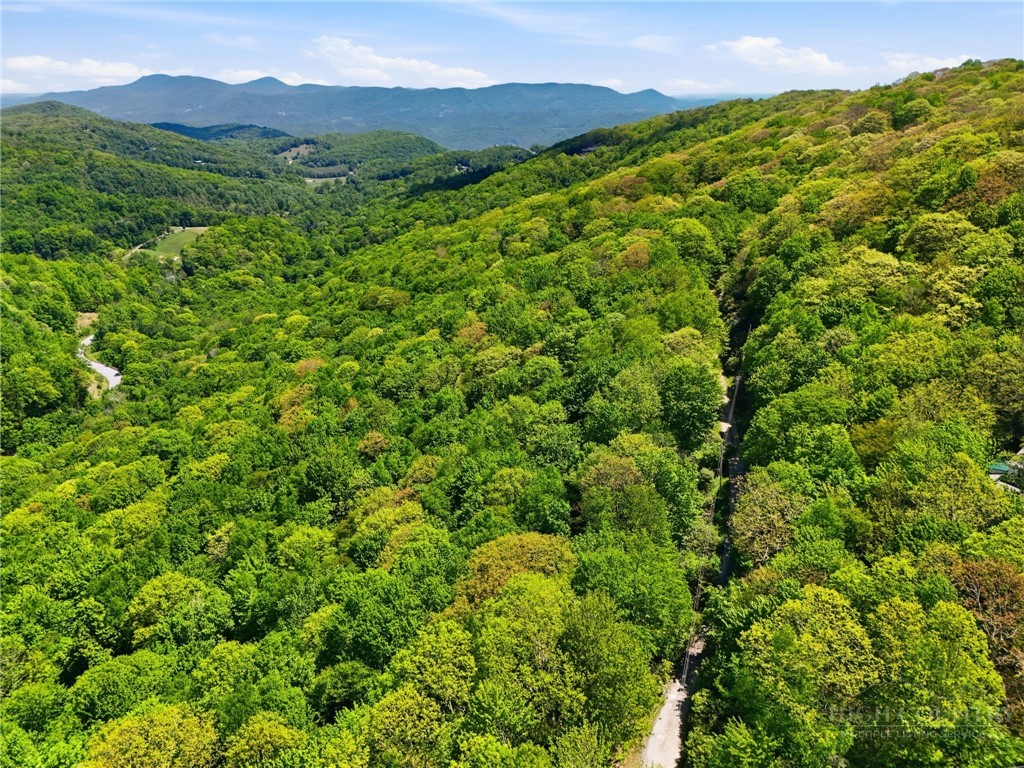 Lot #30 Snow Ridge Road