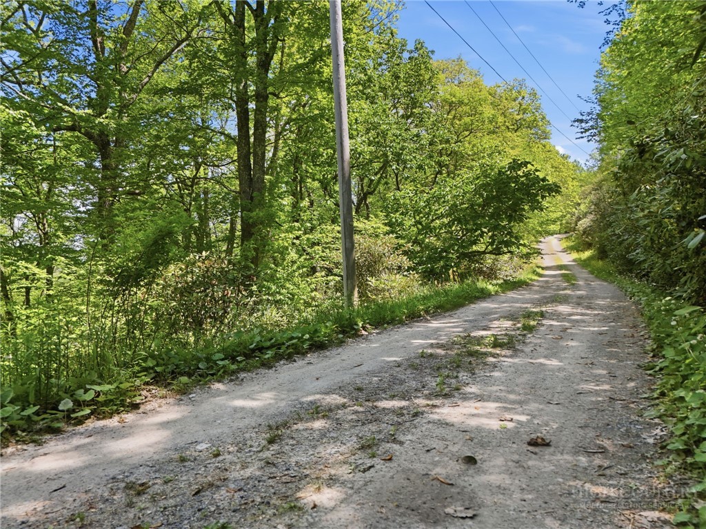 Lot #31 Snow Ridge Road