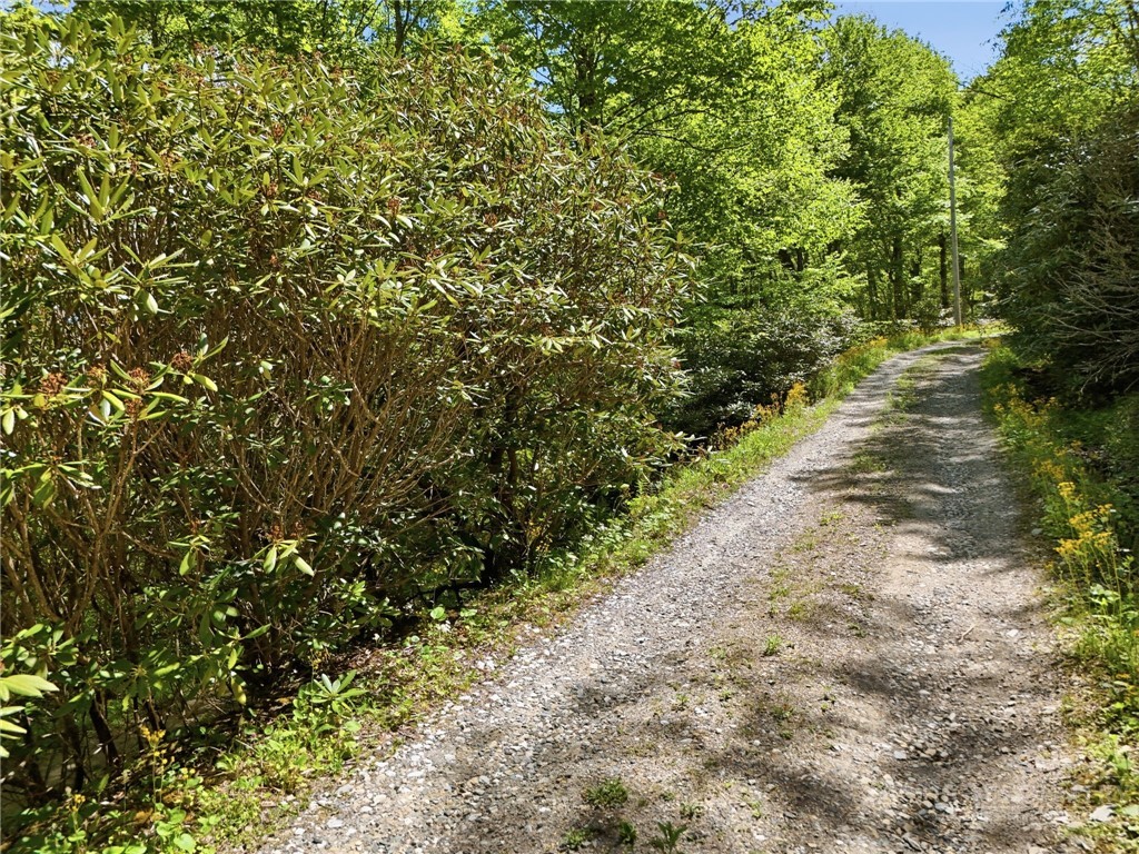 Lot #31 Snow Ridge Road