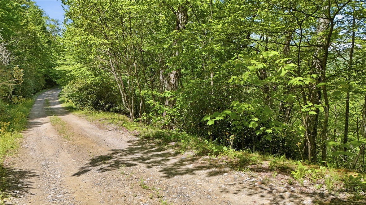 Lot #31 Snow Ridge Road