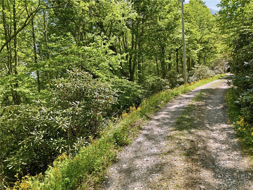 Lot #32 Snow Ridge Road