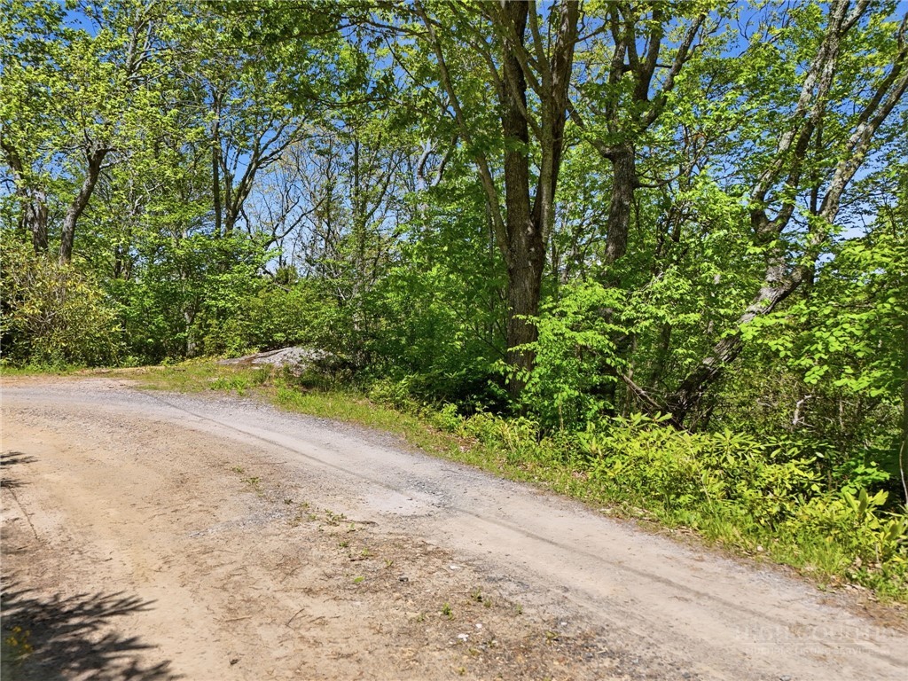Lot #32 Snow Ridge Road