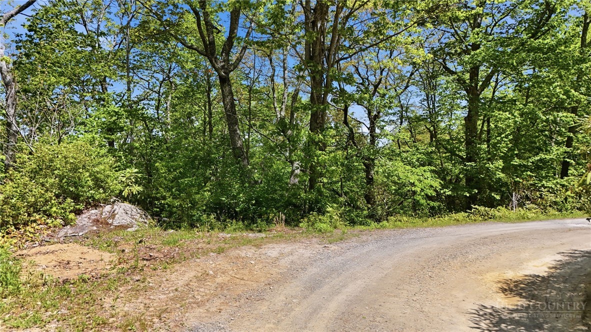 Lot #33 Snow Ridge Road