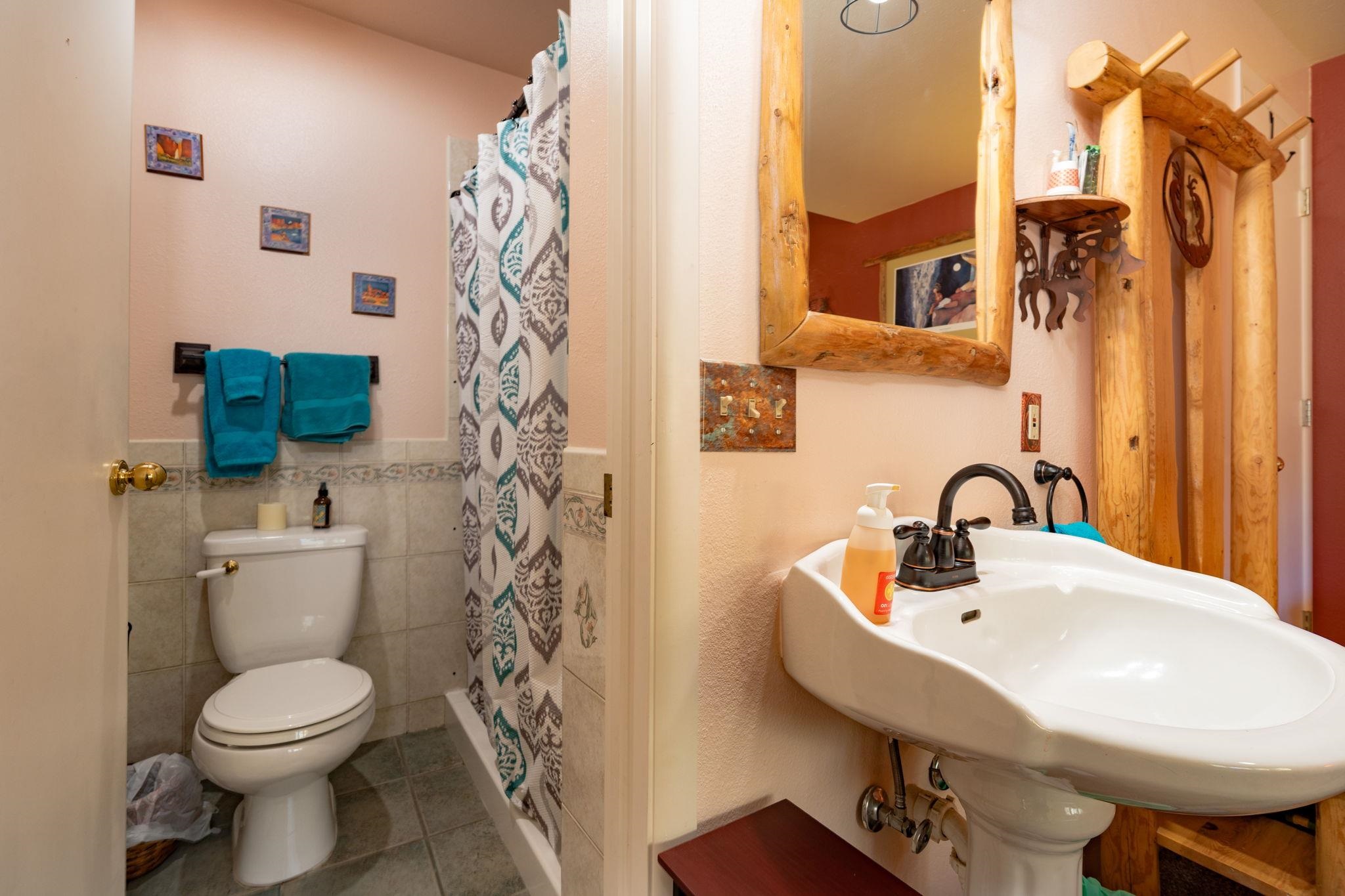Bathroom with a log-framed mirror, pedestal sink, and toilet beside a patterned shower curtain.