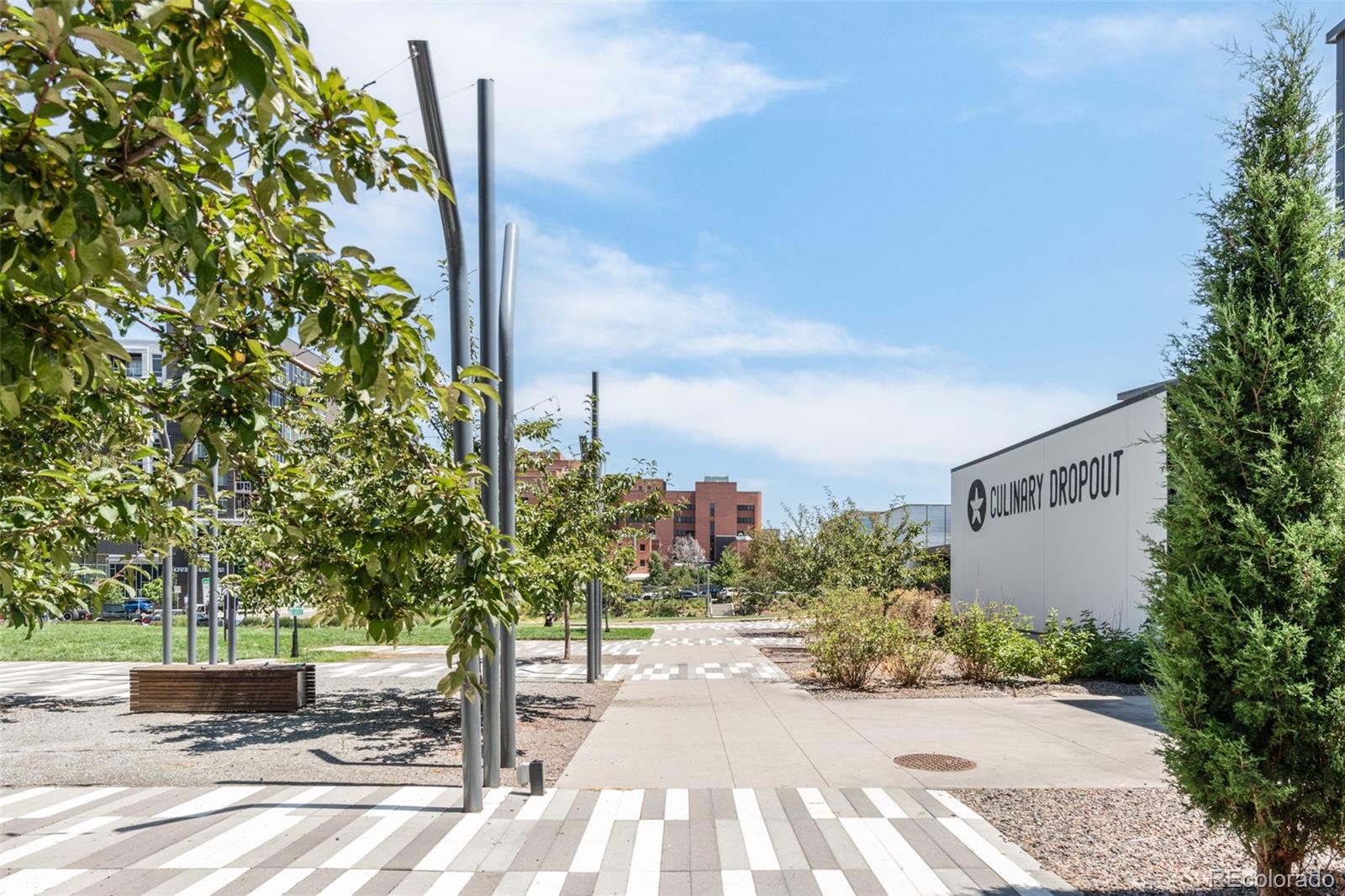 1101 Bellaire Street Unit: 204
